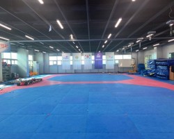 태권도 겨루기 실습실.jpg